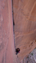 P1110002