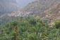35_Oman_1