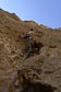 36_1_Oman_1